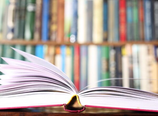Bağımsız Yayınevlerinin Edebiyat Dünyasındaki Rolü