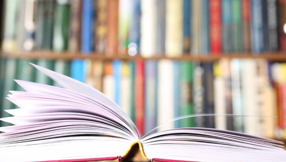 Bağımsız Yayınevlerinin Edebiyat Dünyasındaki Rolü Bağımsız Yayınevlerinin Edebiyat Dünyasındaki Rolü