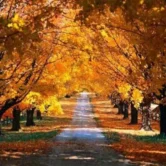 eylul-9-010920211630478399c6aa81d1 eylul-9-010920211630478399c6aa81d1