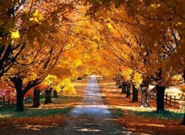 eylul-9-010920211630478399c6aa81d1