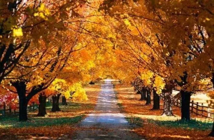 eylul-9-010920211630478399c6aa81d1 eylul-9-010920211630478399c6aa81d1